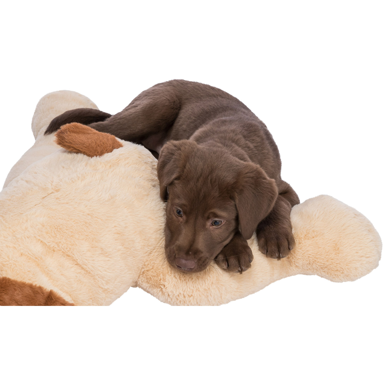 Perro mimado Benny, Beige/Marrón, 75 cm