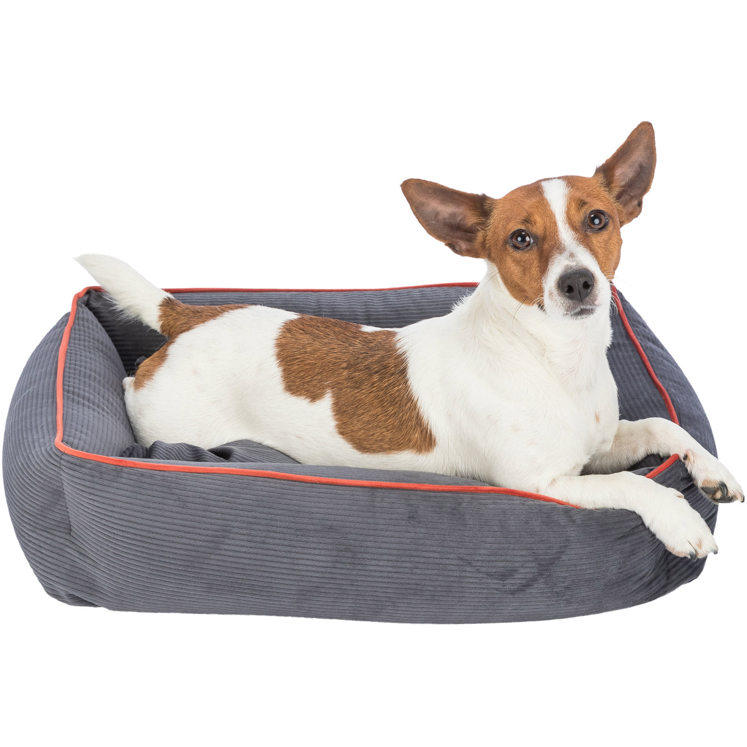 Cama Romy, Gris, 55 × 45 cm