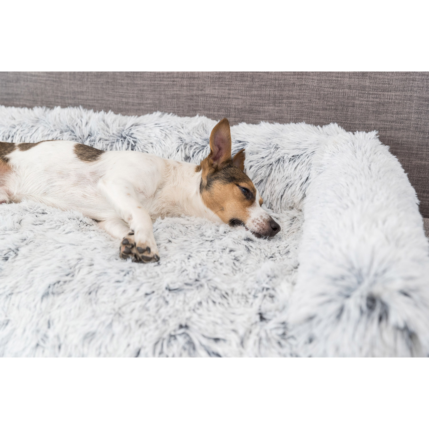 Protector de Muebles Cama para Perros Harvey, Blanco-Negro, 70 × 90 cm