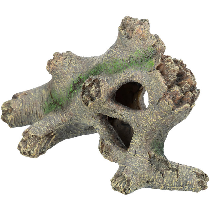 Tronco Hueco