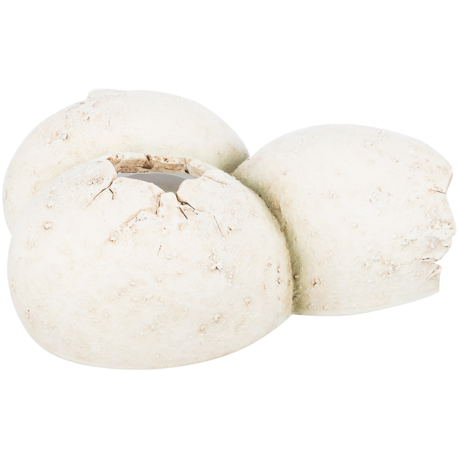 Cueva Reptiles, huevos , 15 × 6 × 12 cm