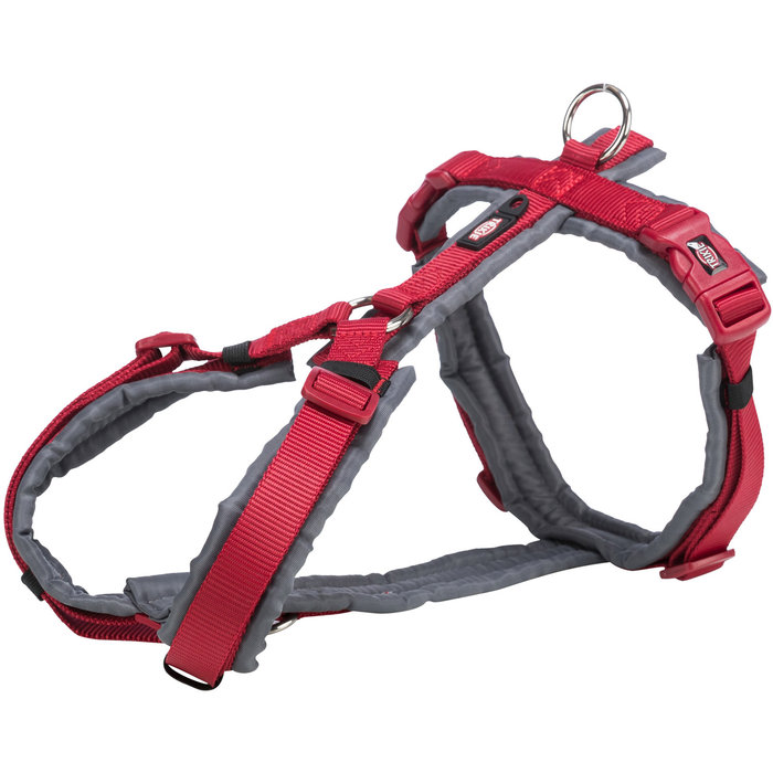 Premium Arnés Trekking