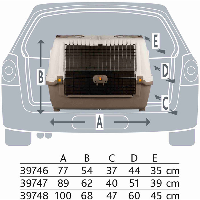 Transportín Skudo Car