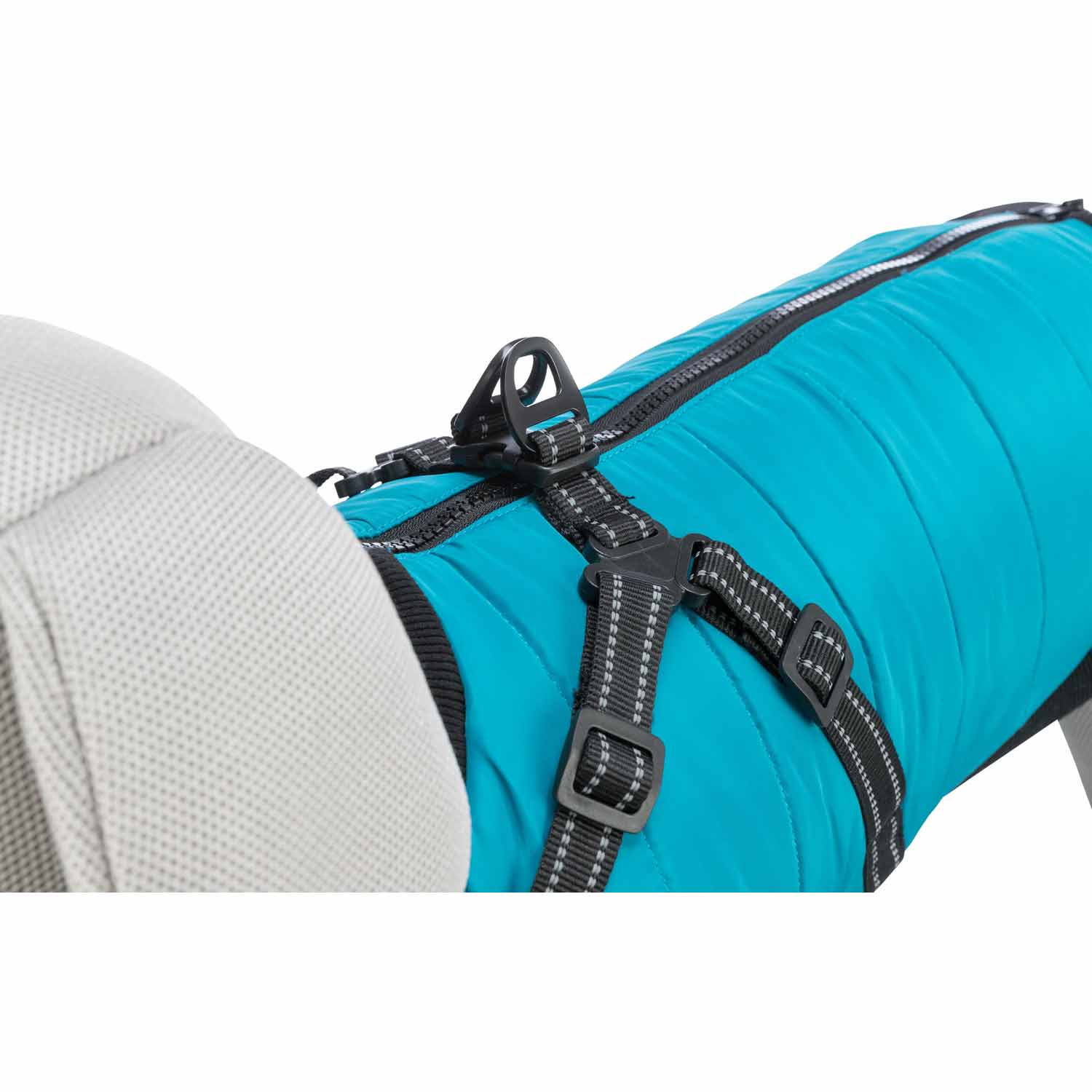 Abrigo Pontis con arnés,  XXS: 24 cm, aguamarina