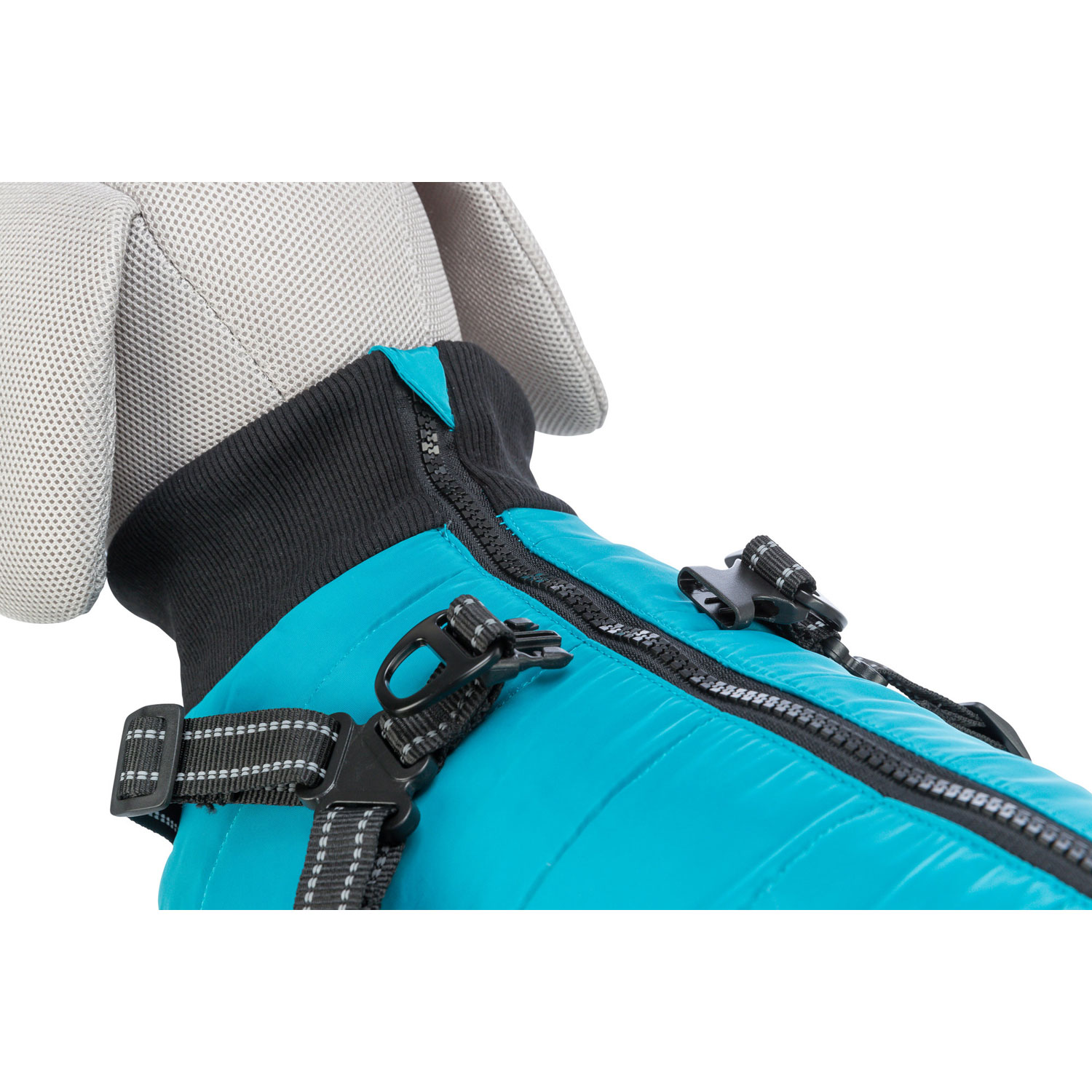 Abrigo Pontis con arnés,  XXS: 24 cm, aguamarina