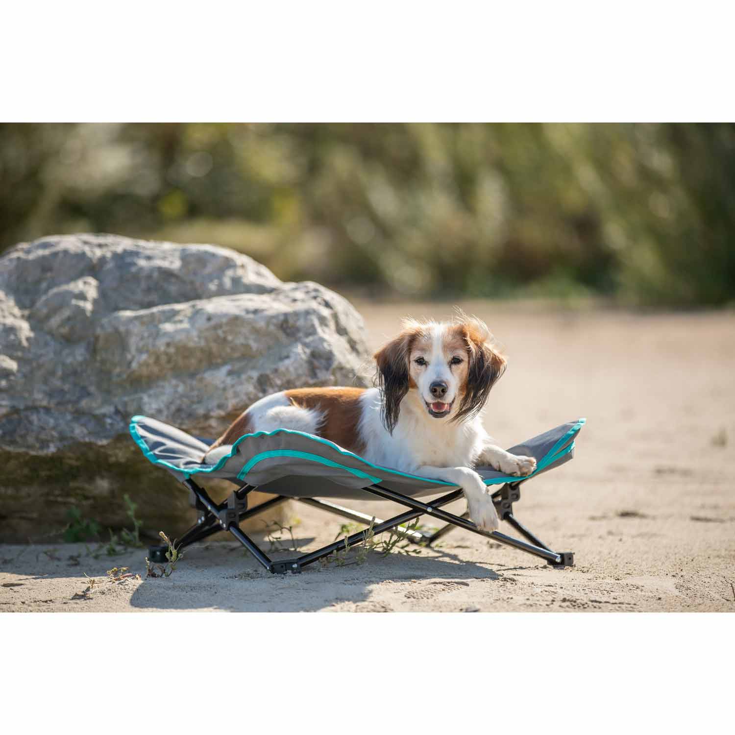 Cama de camping para perros, gris oscuro/azul petróleo, 69 x 20 x 69 cm