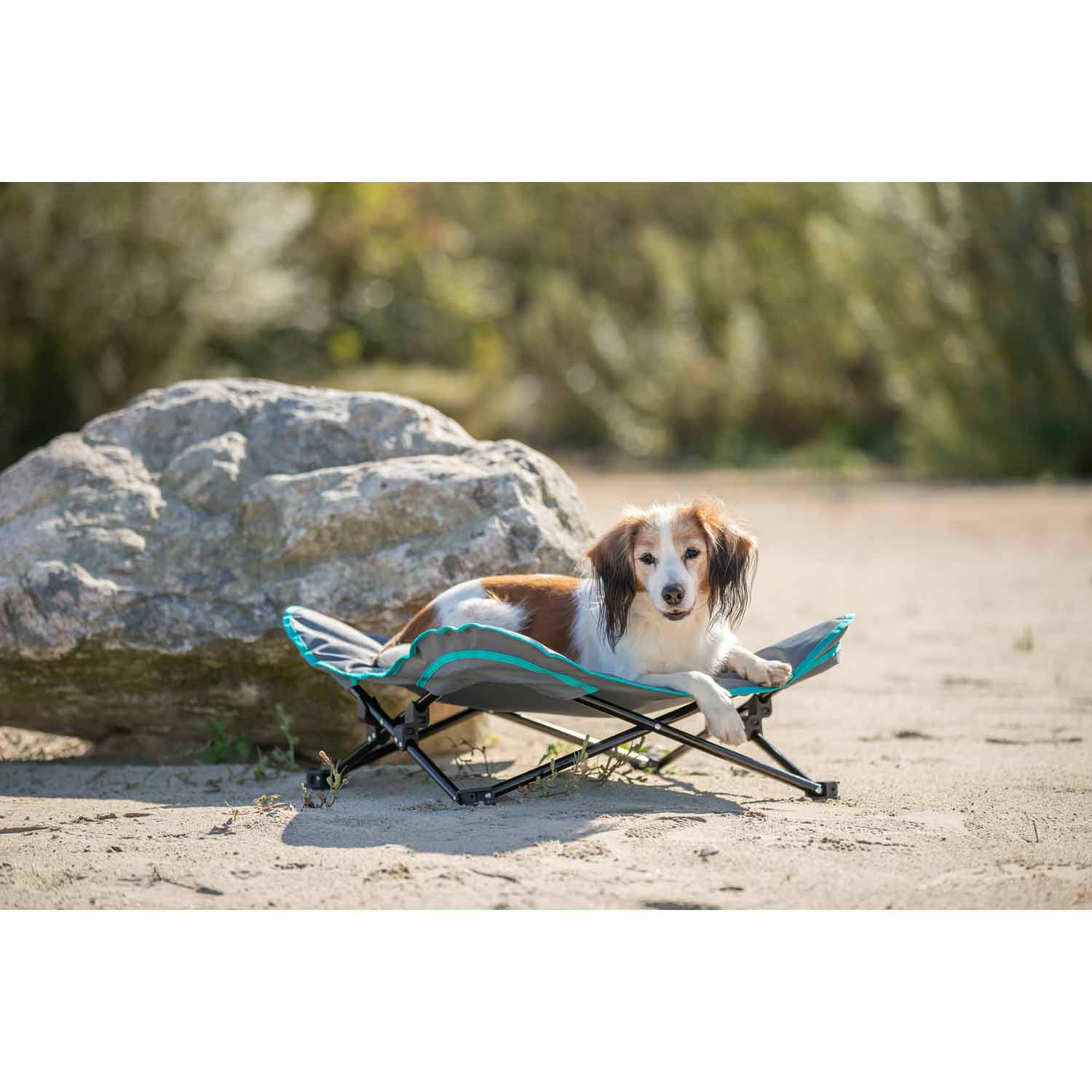 Cama de camping para perros, gris oscuro/azul petróleo, 69 x 20 x 69 cm