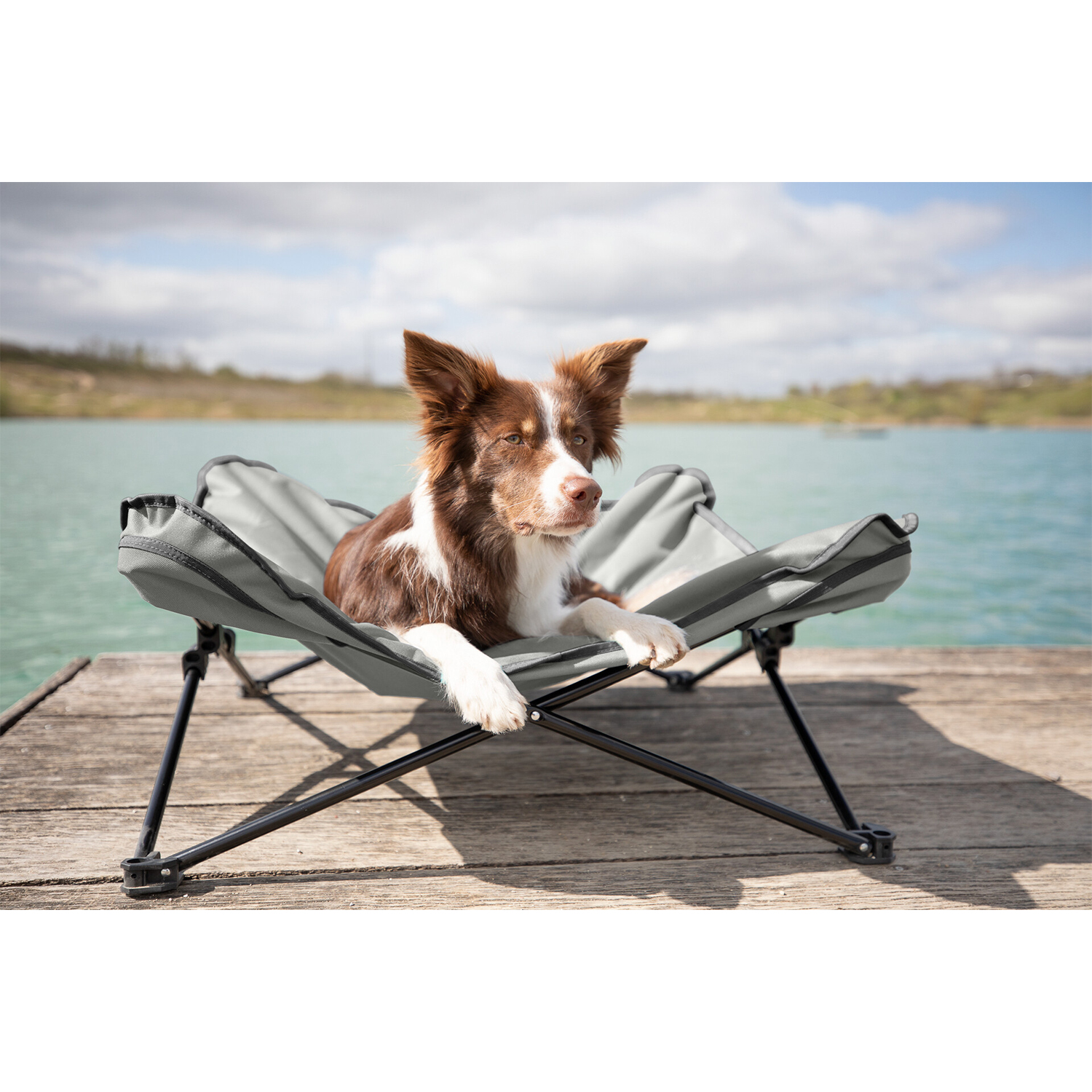 Cama de camping para perros, gris oscuro/azul petróleo, 69 x 20 x 69 cm