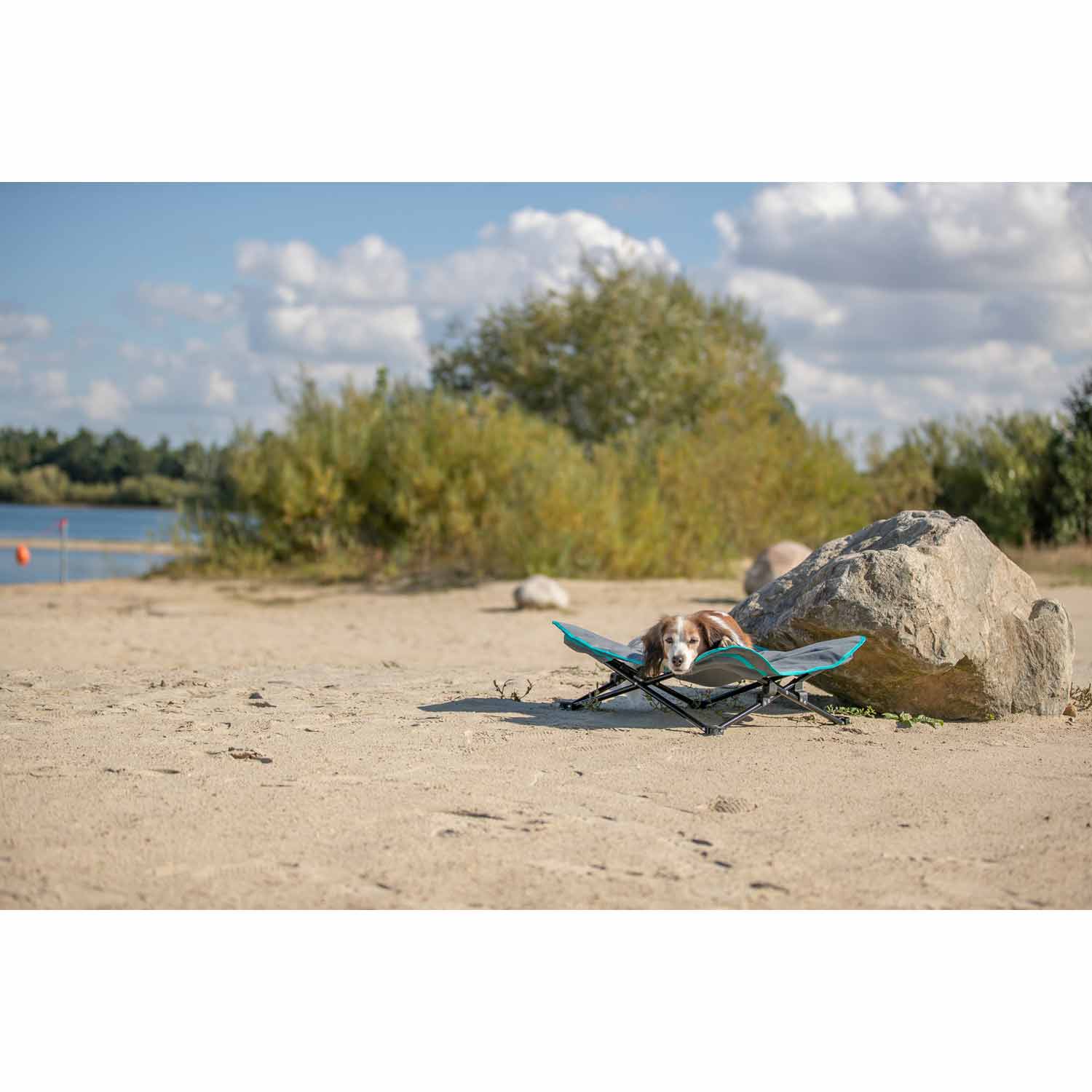 Cama de camping para perros, gris oscuro/azul petróleo, 69 x 20 x 69 cm