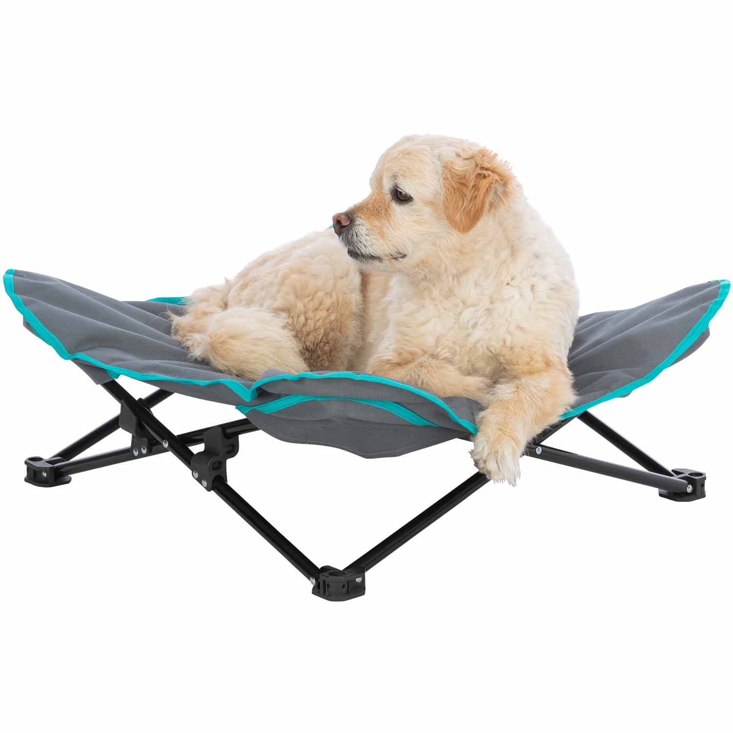 Cama de camping para perros, gris oscuro/azul petróleo, 69 x 20 x 69 cm