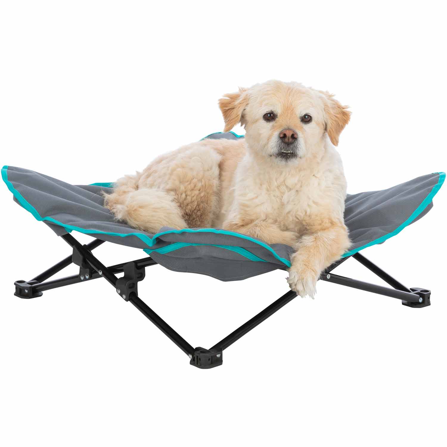Cama de camping para perros, gris oscuro/azul petróleo, 69 x 20 x 69 cm