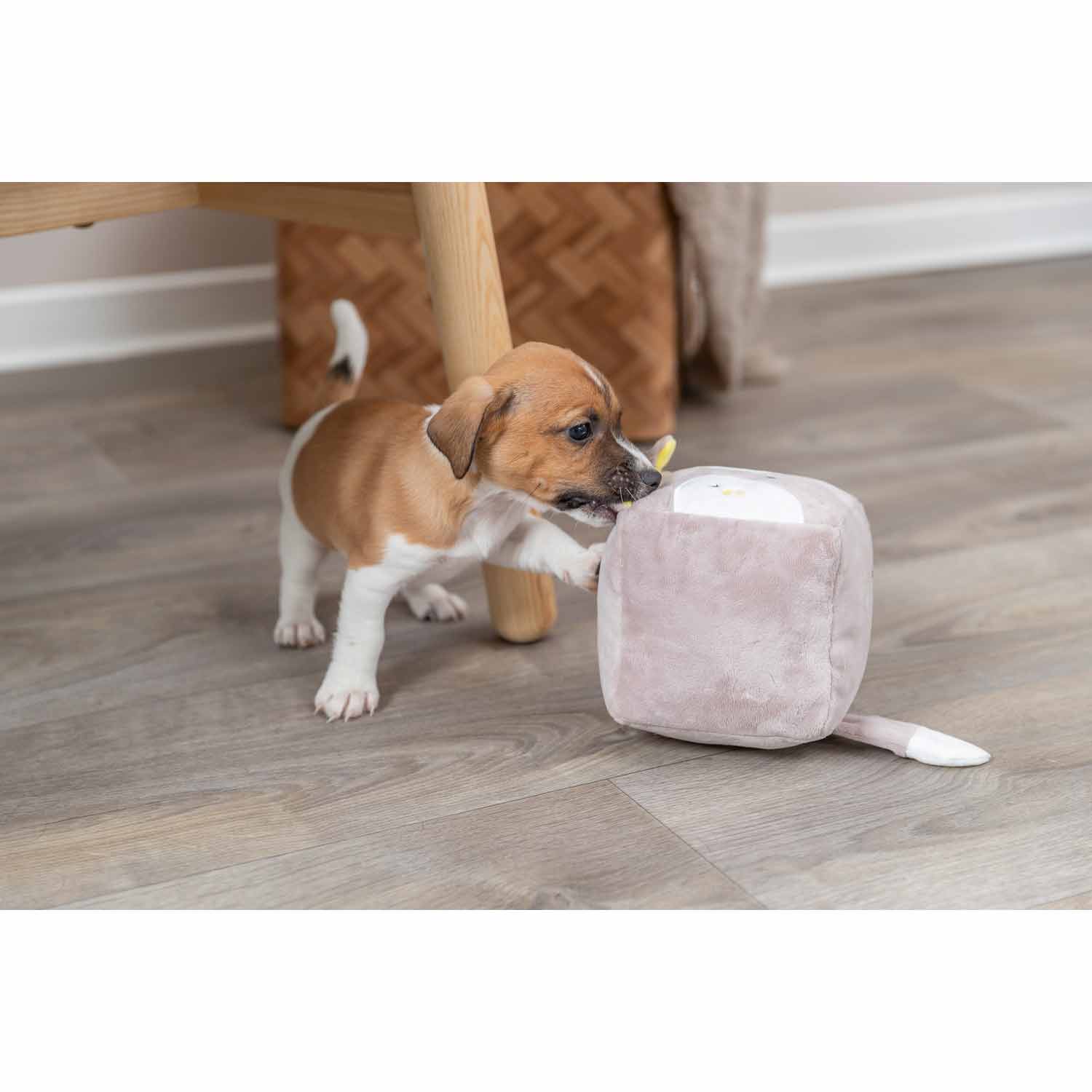 Junior Zorro (cubo), 13 cm