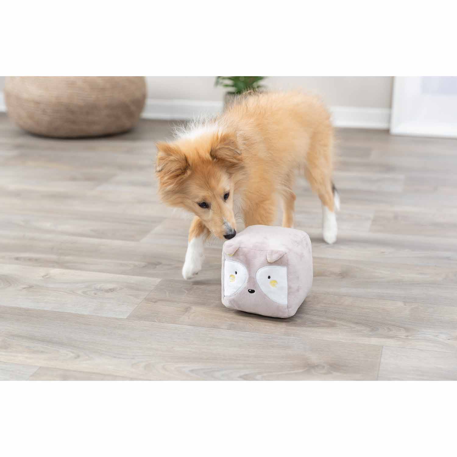 Junior Zorro (cubo), 13 cm