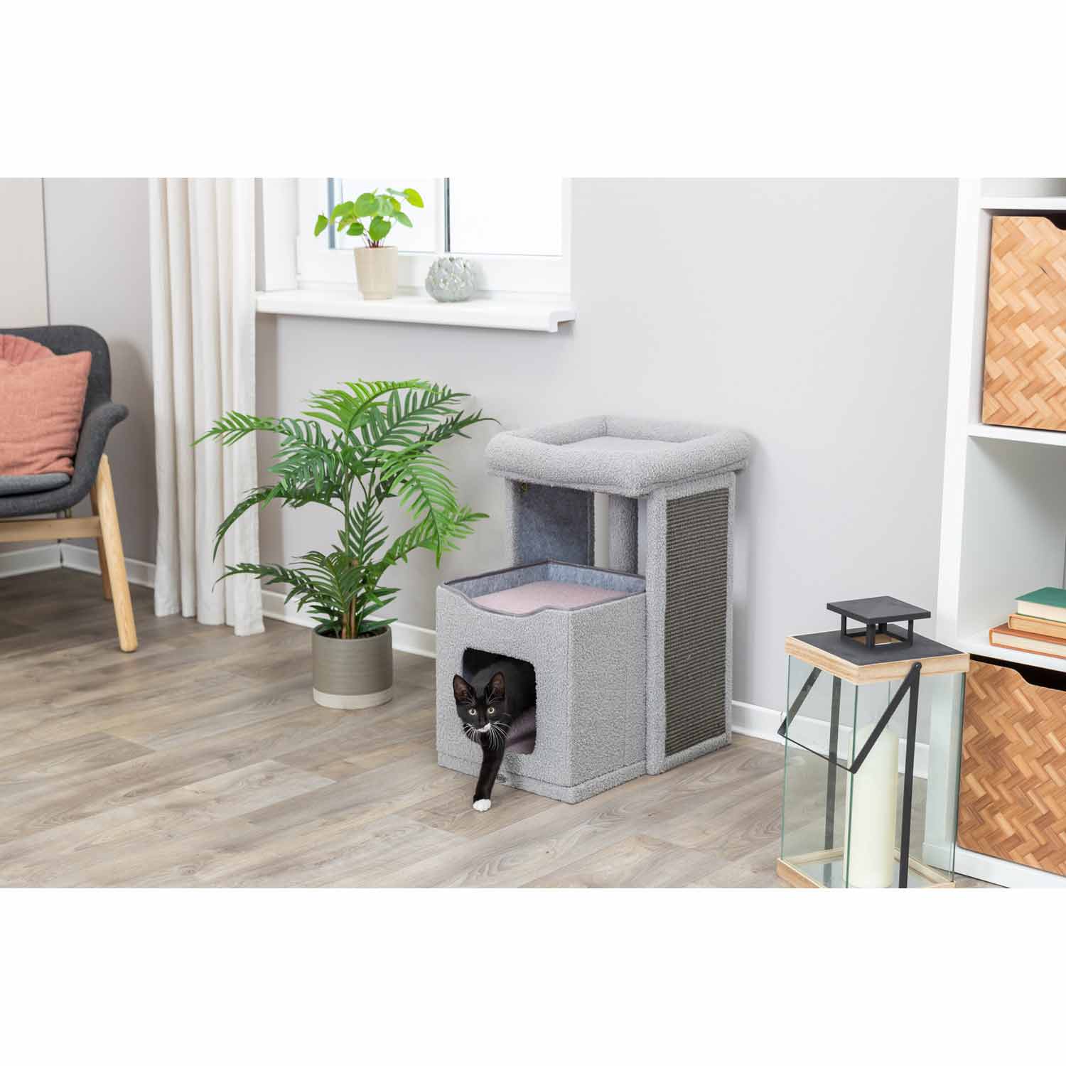 Junior Poste Rascador Carlita, gris/lila, 63 cm
