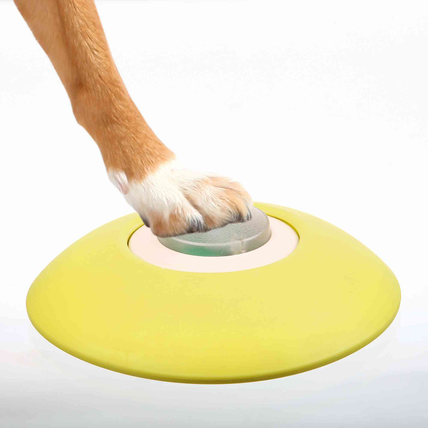 Dog Activity Memory Trainer, ø20 × 24 cm, Nivel 3