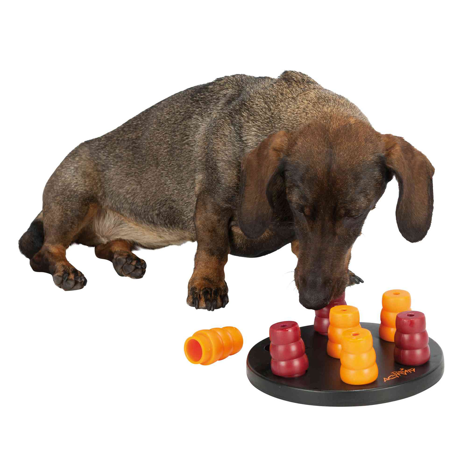 Juego Interactivo Dog Activity Mini Solitario, ø20 cm, Nivel 1