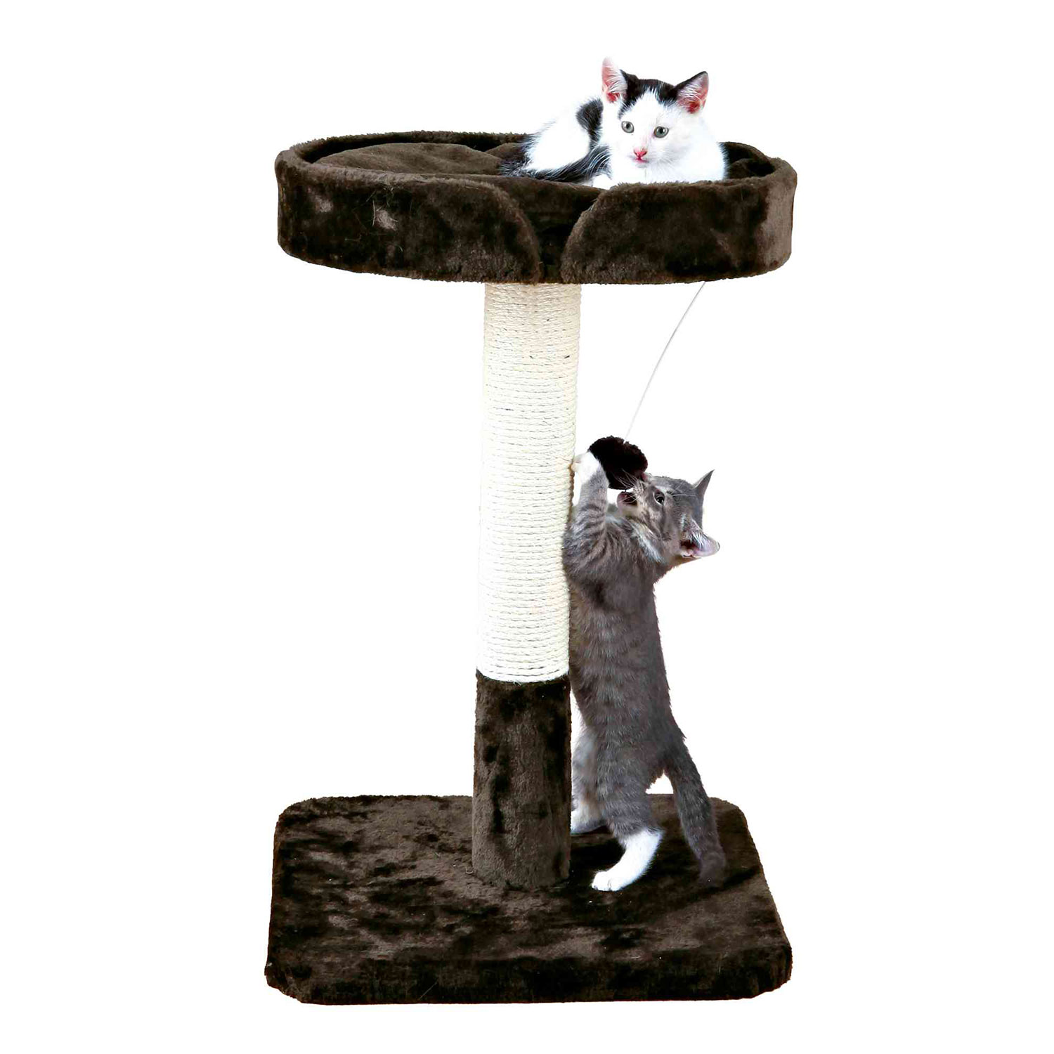 Poste Rascador Raul, 72 cm, Marrón