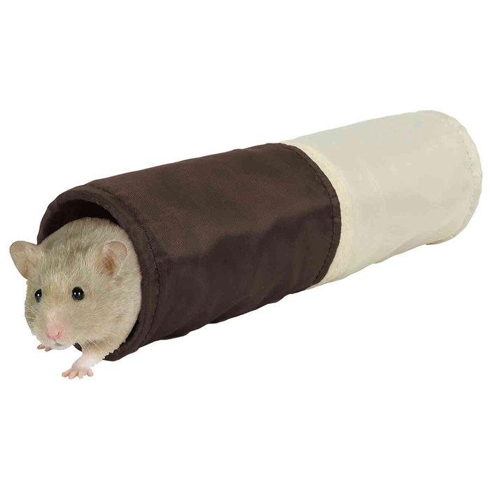 Túnel Crunch
