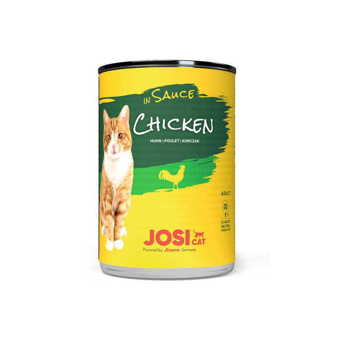 Pollo en Salsa